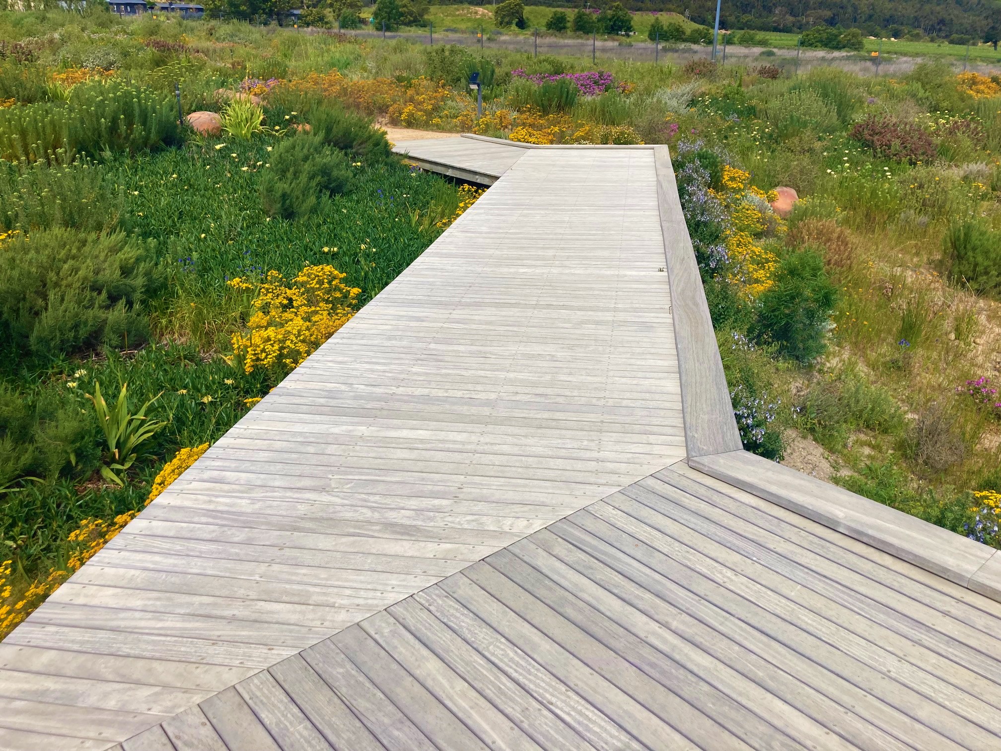 Boardwalks Deck Cape Town South Africa